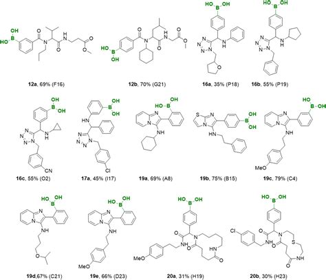 Rapid approach to complex boronic acids 